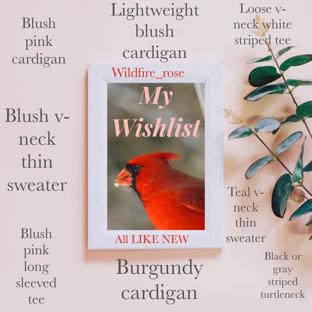 ISO BLUSH, TEAL, BURGUNDY Medium or Small (2-4)